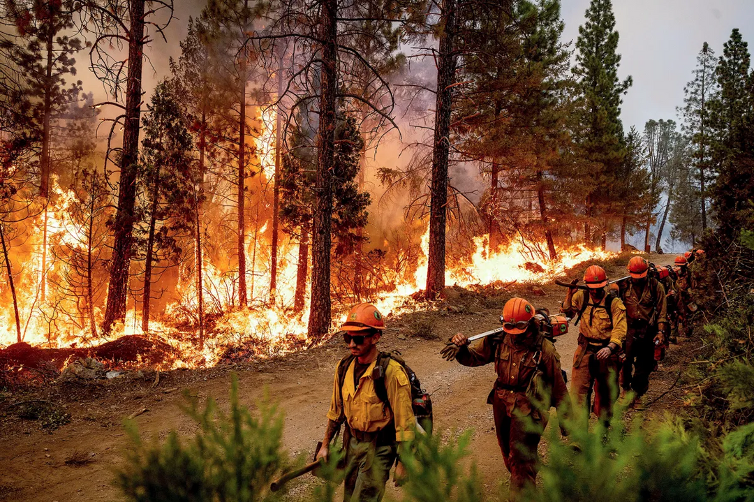 Preventing Winter Forest Fires: Protecting Safety and Nature