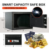 Safe Box | 0.23 Cubic Feet in multiple colors | Bostra