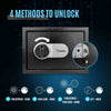 ROLOWAY Large Biometric Fingerprint Home Safe Box - Secure Money Storage